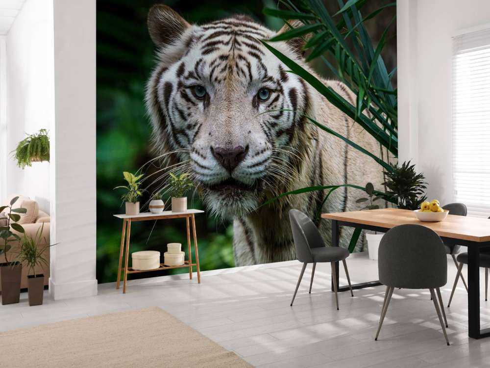 Tigre blanc