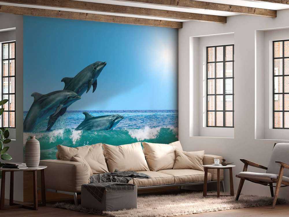 Dauphins sur la côte