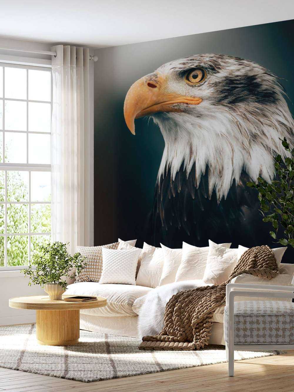 Gros plan sur l'aigle marin