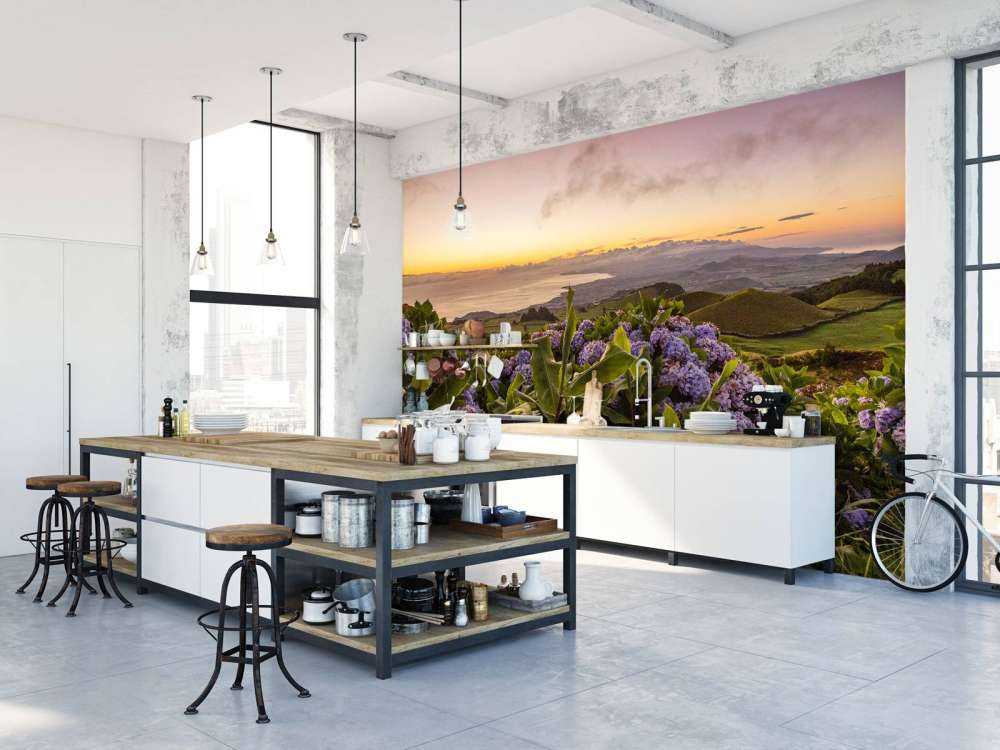 Coucher de soleil avec des hortensias