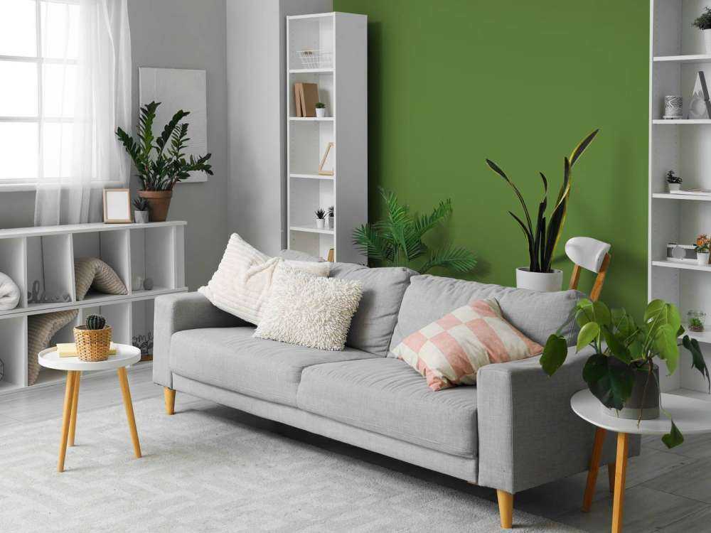 Vert Avocat