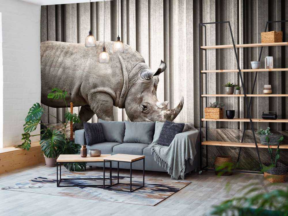 Rhinocéros dans le hall