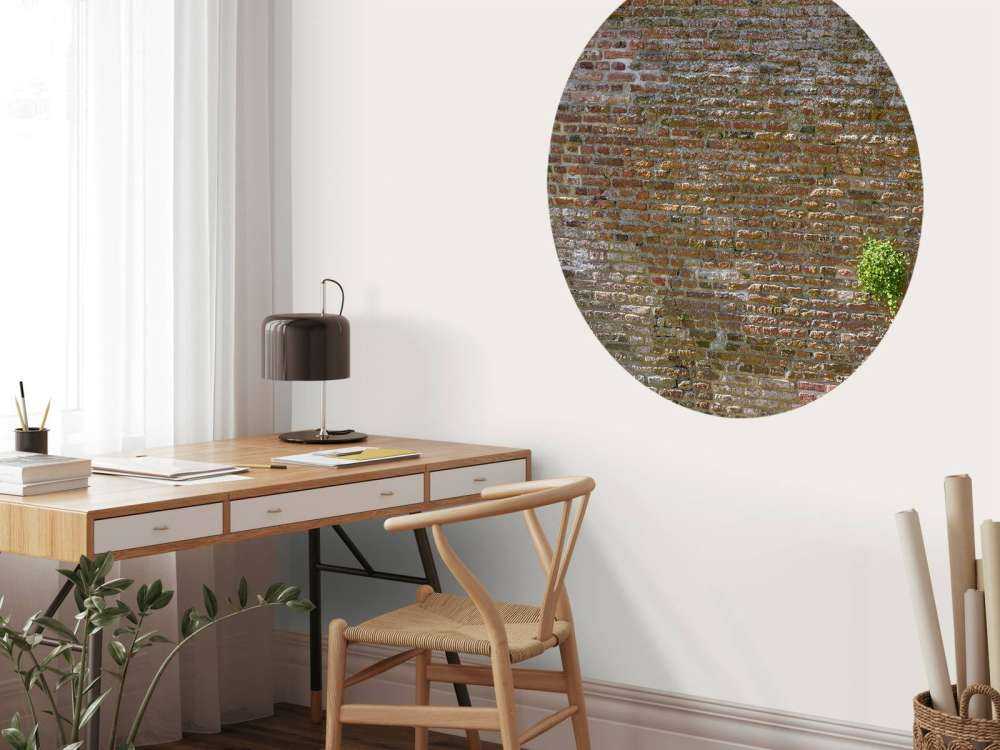 Ancien mur d'enceinte de la ville en pierre avec des plantes