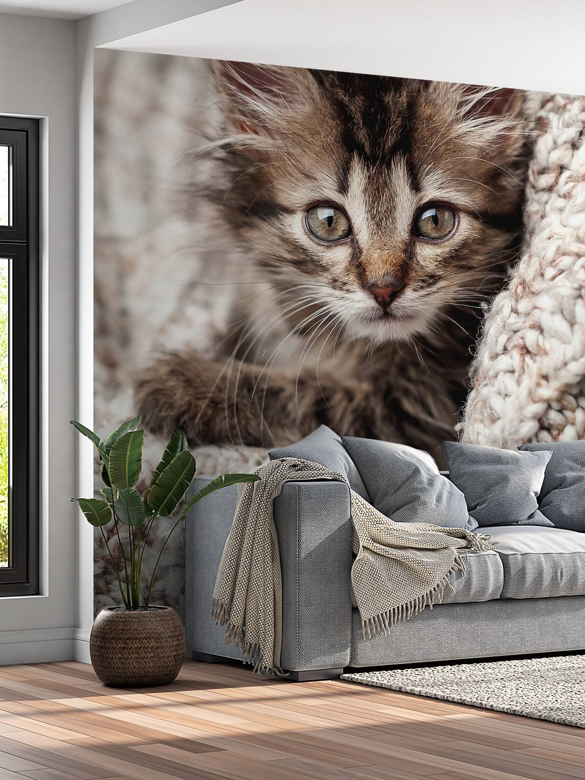 Chatte dans une couverture