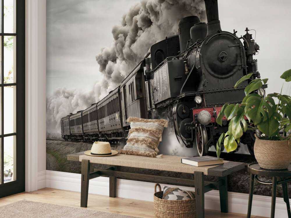 Vieux train à vapeur