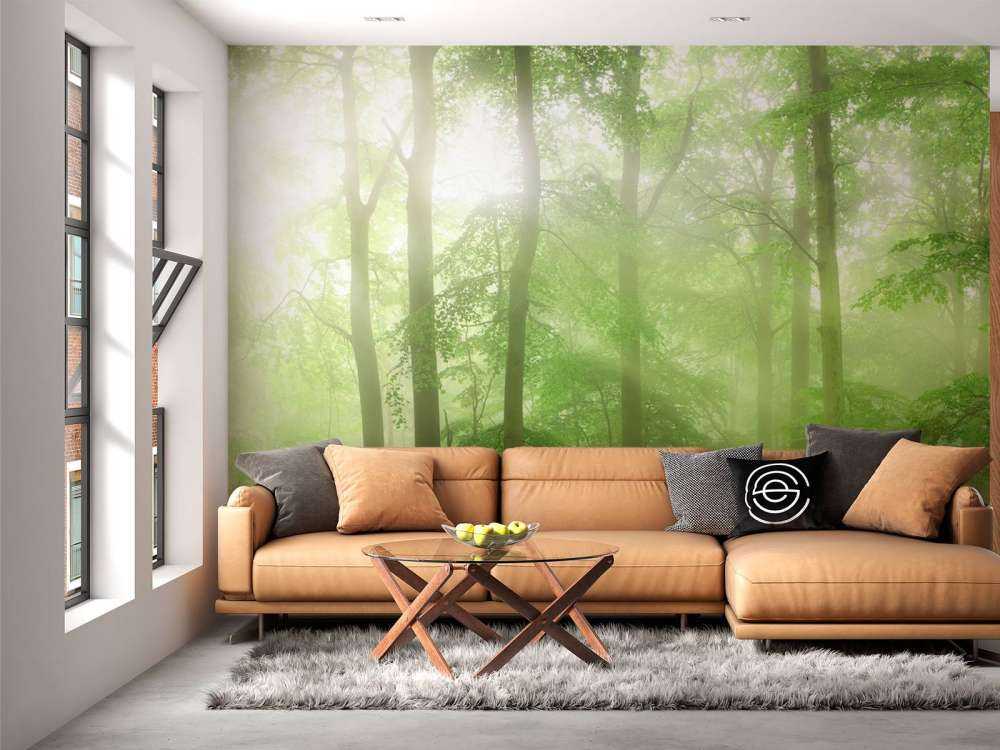 Panorama de forêt verte