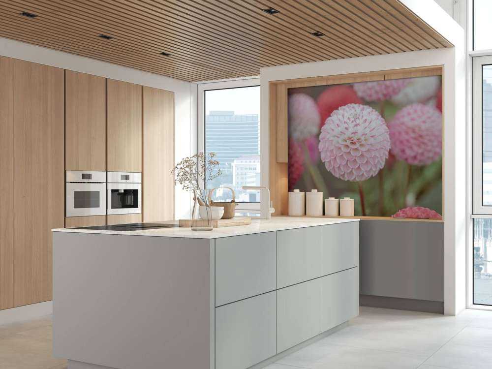 Rose fleurs de dahlia