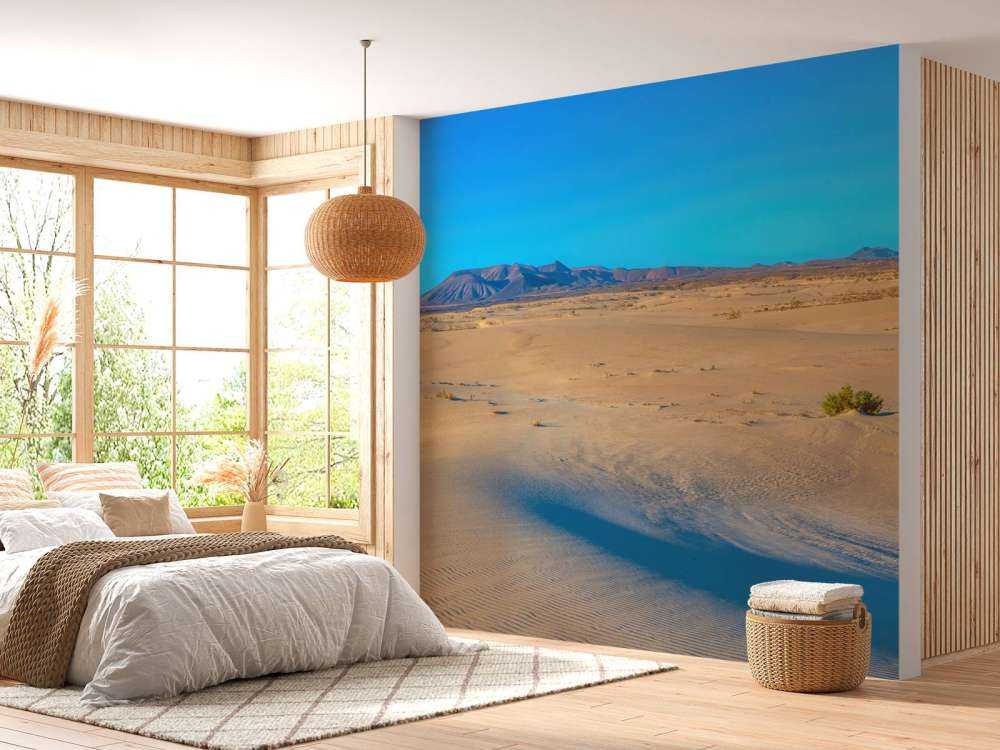 Lever de soleil sur des dunes de sable
