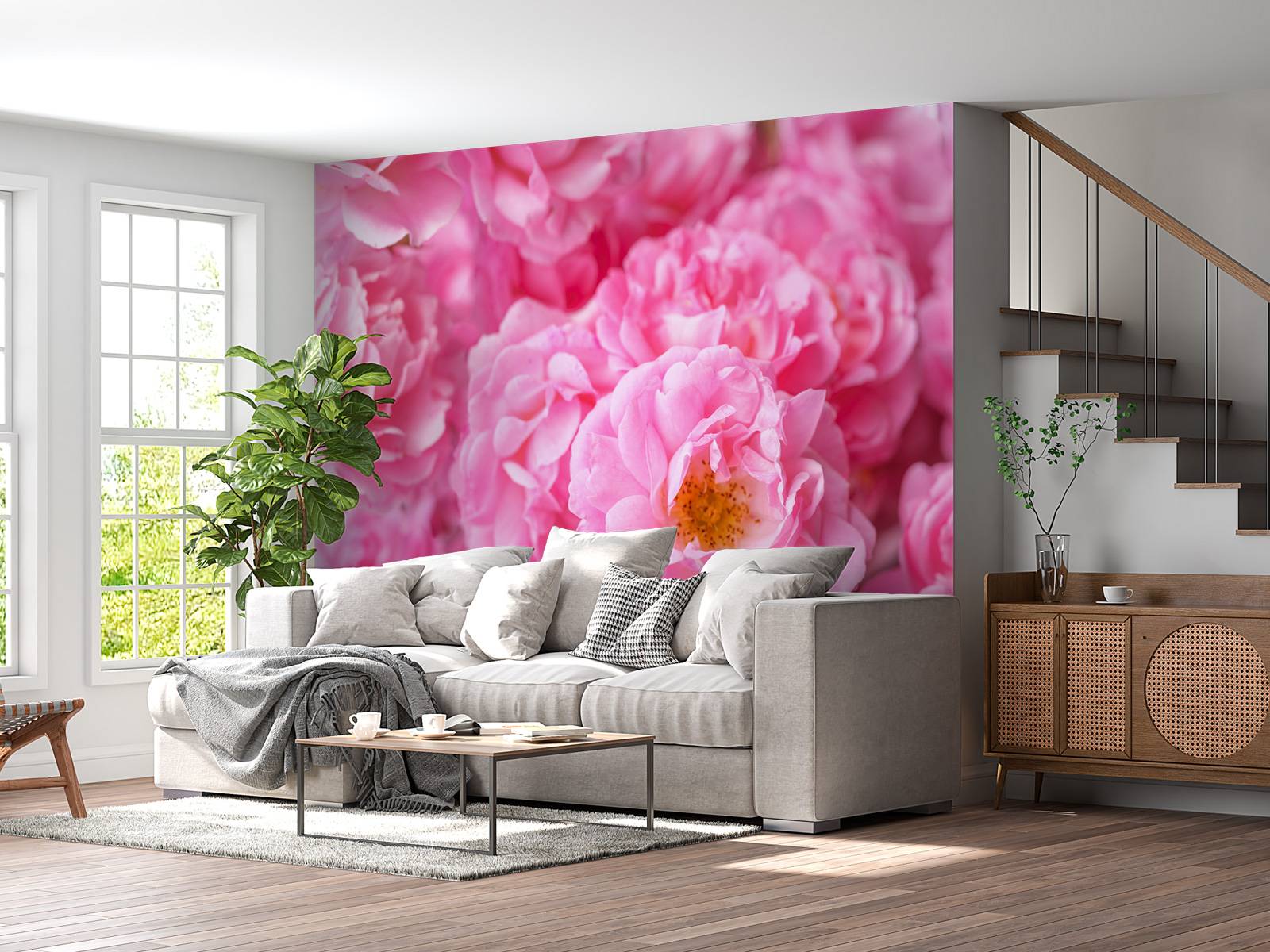 Plusieurs roses roses