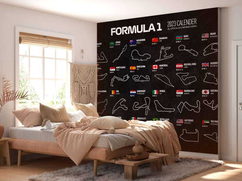 Formule 1 2023 - Carte des données