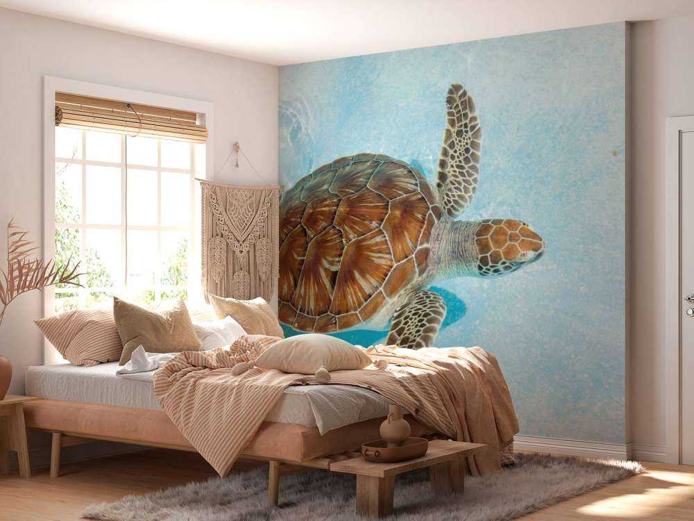 Une tortue dans l'eau