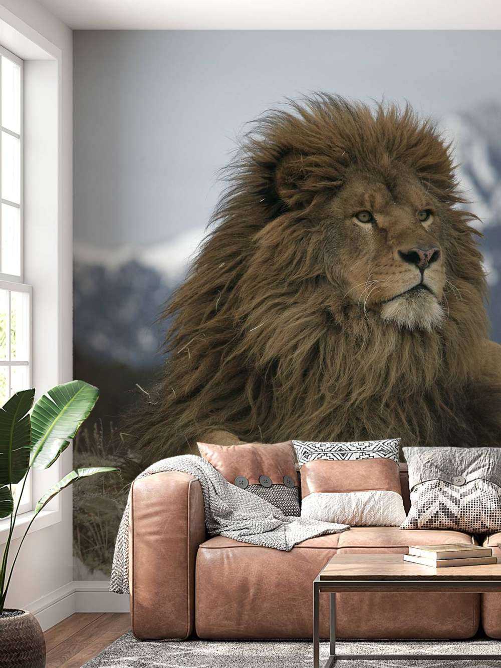 lion de Barbarie