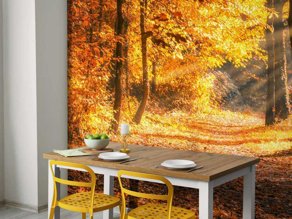 Panorama en automne