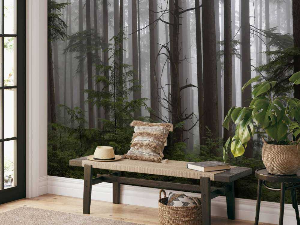 Forêt par temps de brouillard