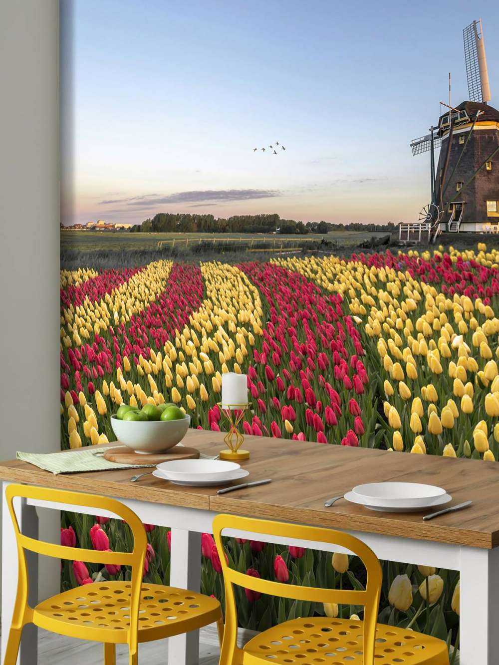 Champ de tulipes néerlandais