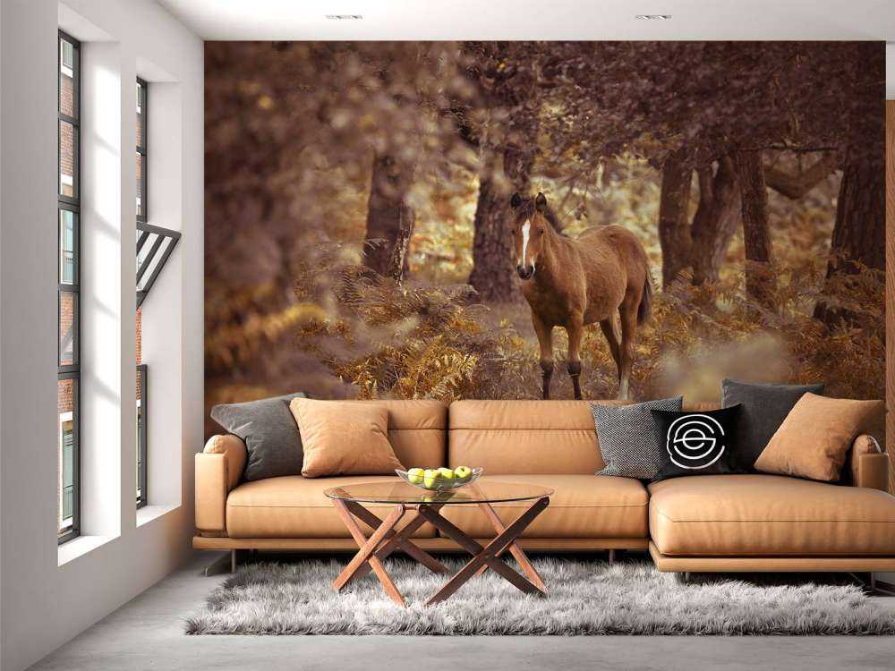 Cheval dans le désert