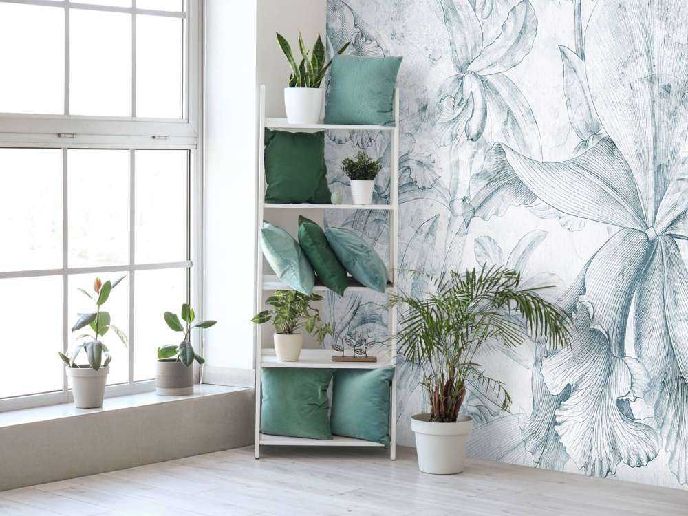 Orchids Contour 5