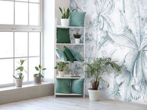 Orchids Contour 5