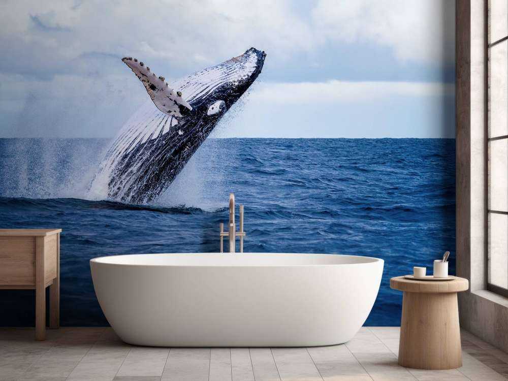 Baleine sauteuse