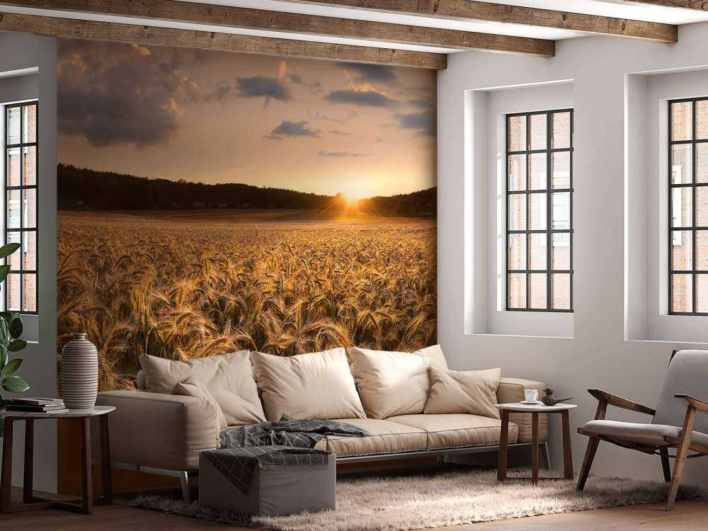 Fields of gold