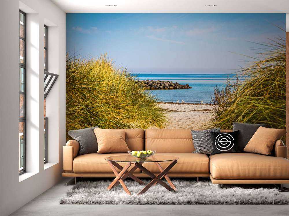 Plage au bord de la mer Baltique