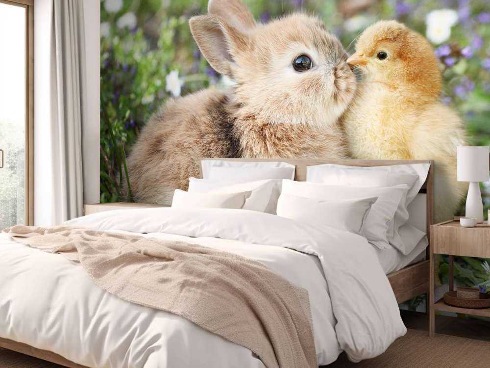 Lapin et poussin