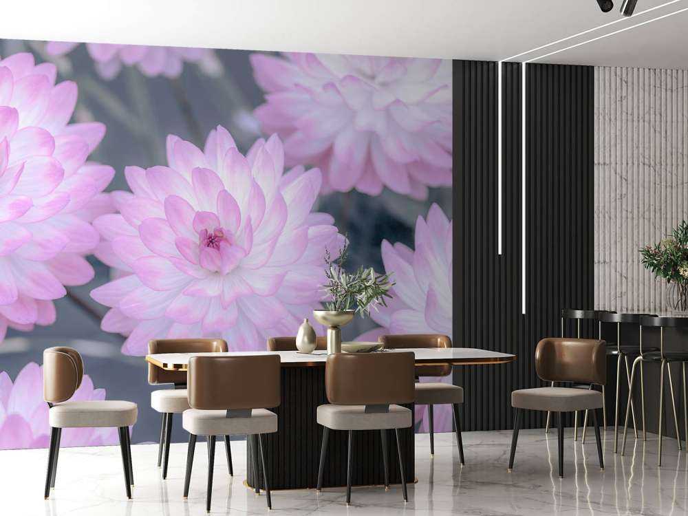Fleur de dahlia rose