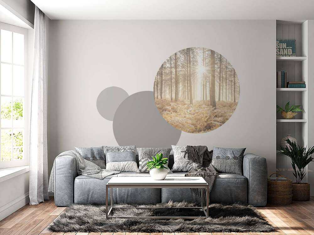 Rayons de soleil dans une forêt froide