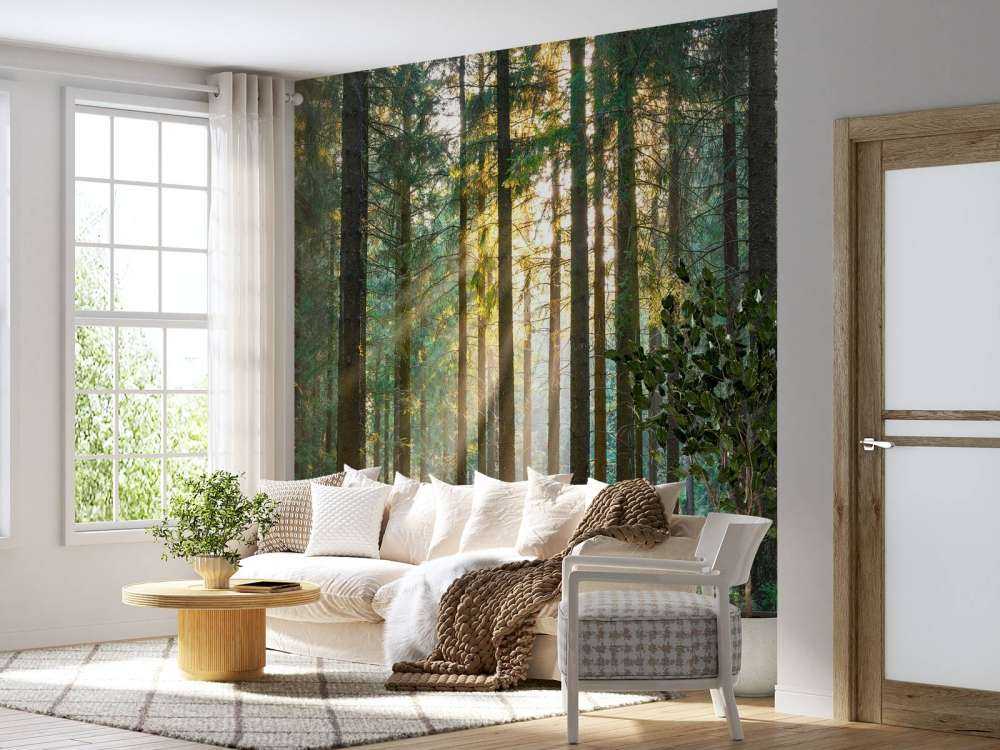Une forêt tranquille