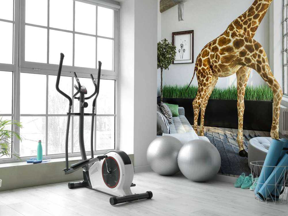 Girafe voyante