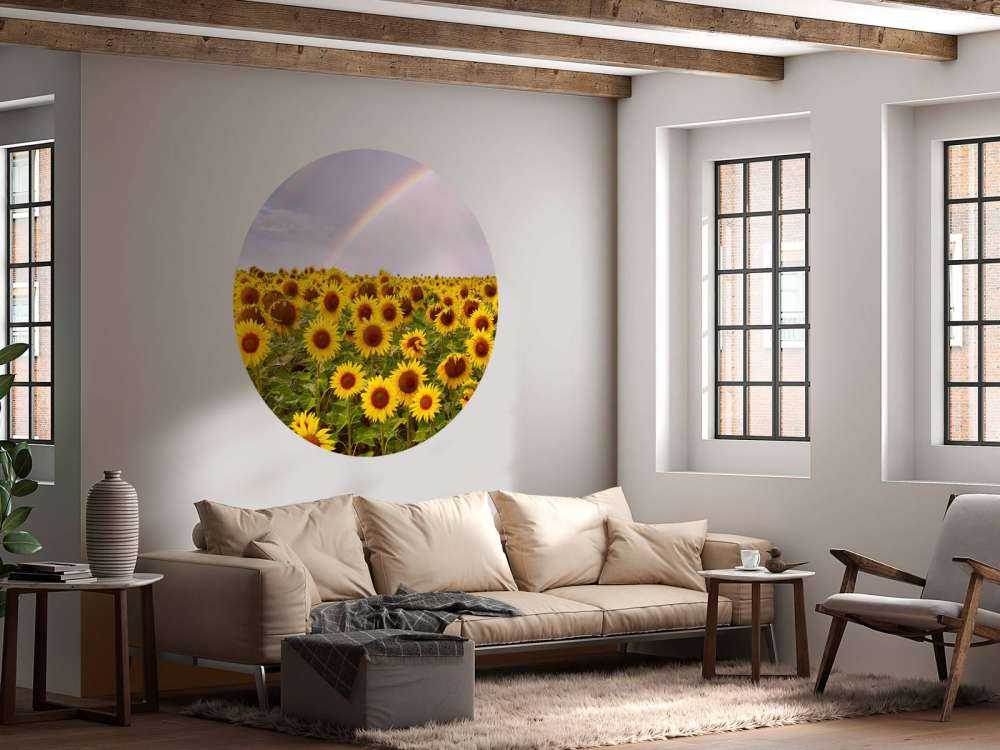 Champ de tournesols