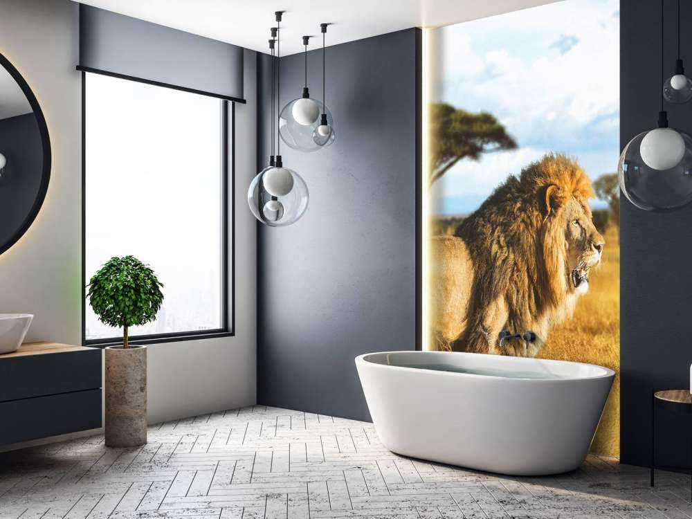 Lion dans la savane