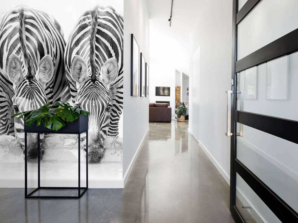 Three zebras