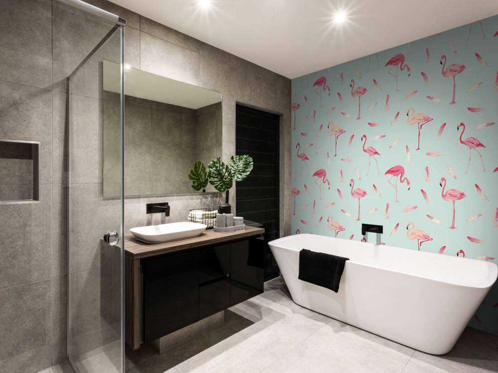 Flamants roses