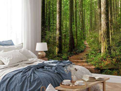 Chemin dans la forêt