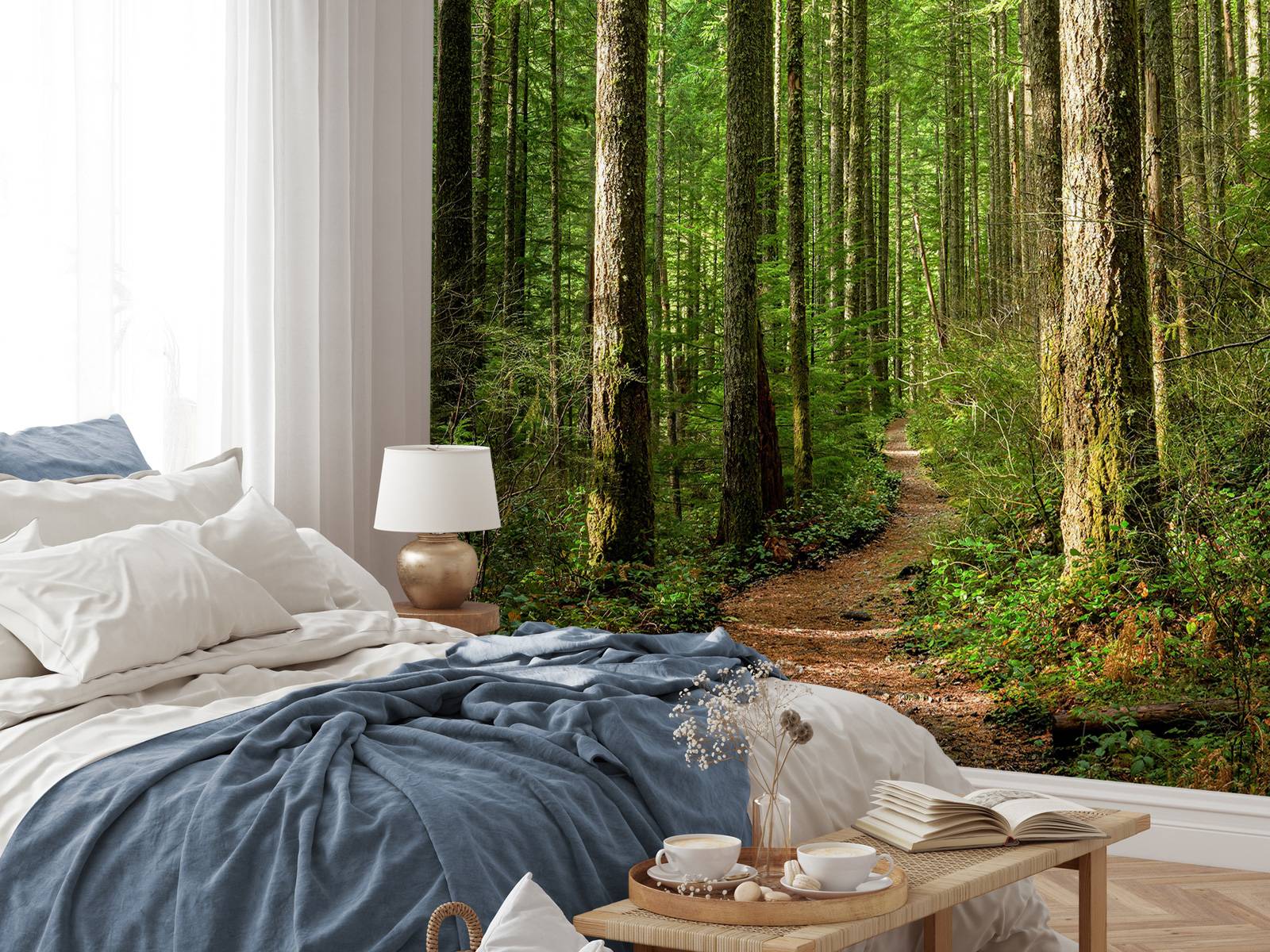 Chemin dans la forêt
