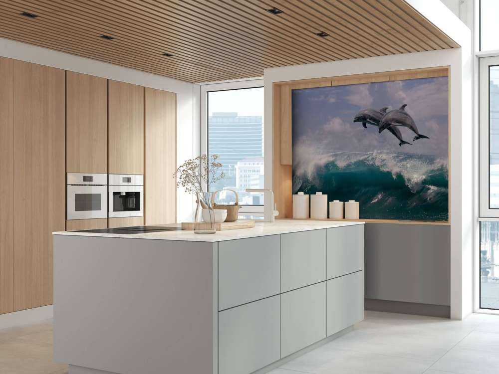 Dauphins et vagues