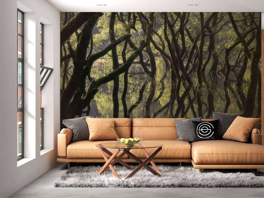 Sunken Forest
