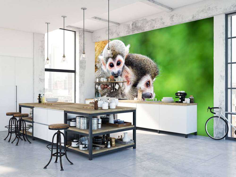 Singes écureuils
