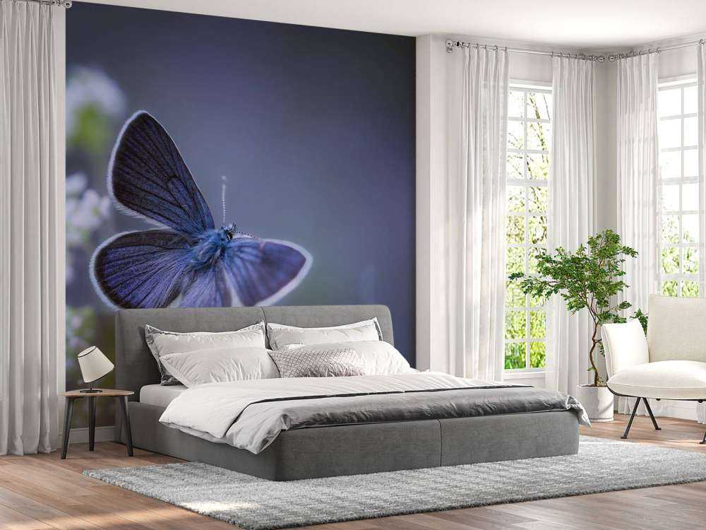 Papillon bleu