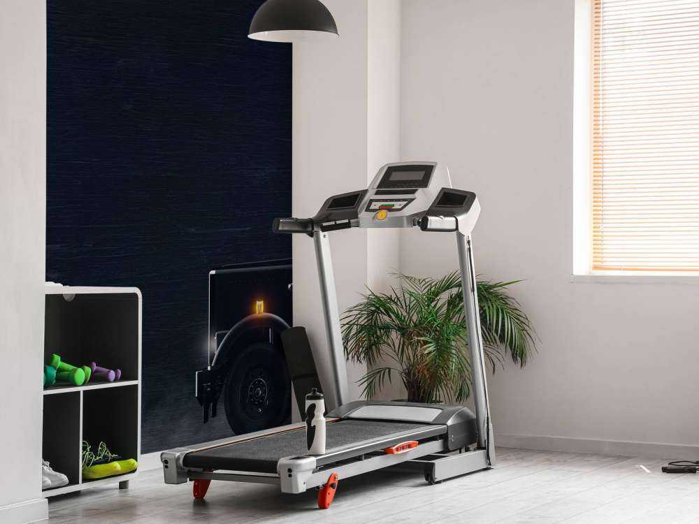Camion noir et blanc
