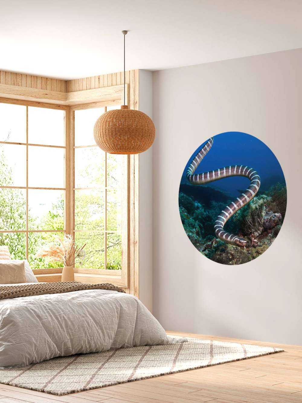 Serpent de mer rayé