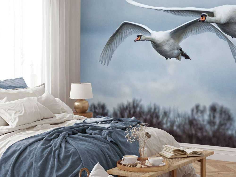 Cygne volant