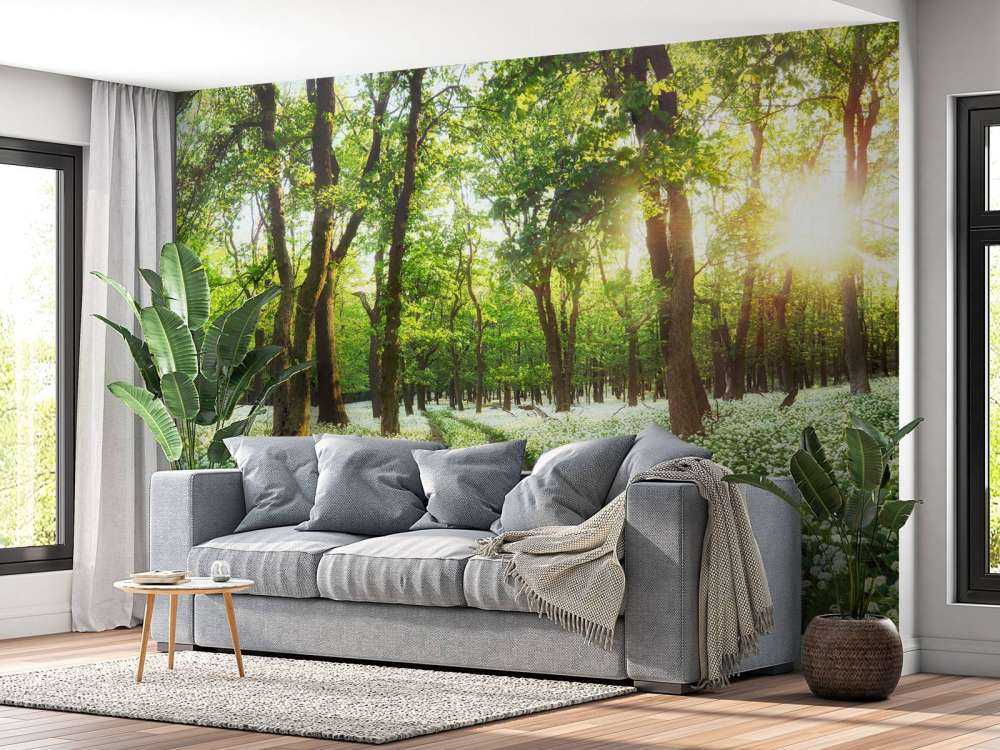 Panorama forestier