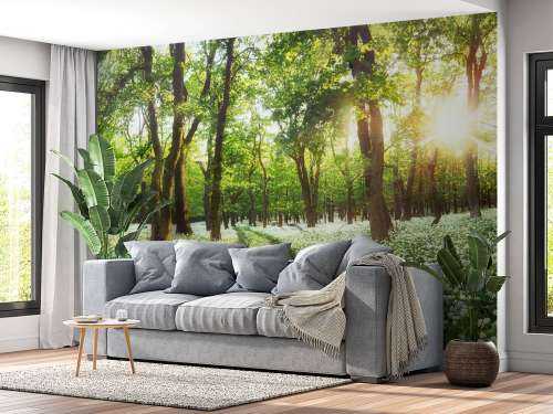 Panorama forestier