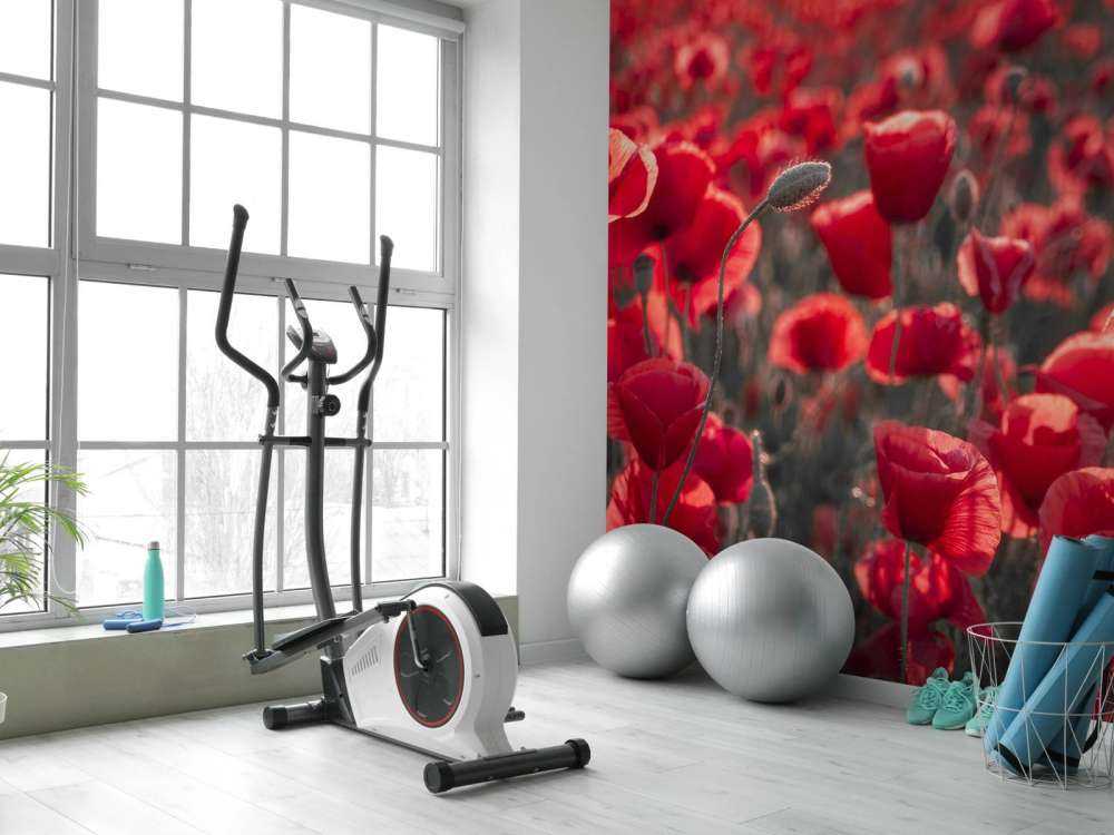Des coquelicots dans un style sombre