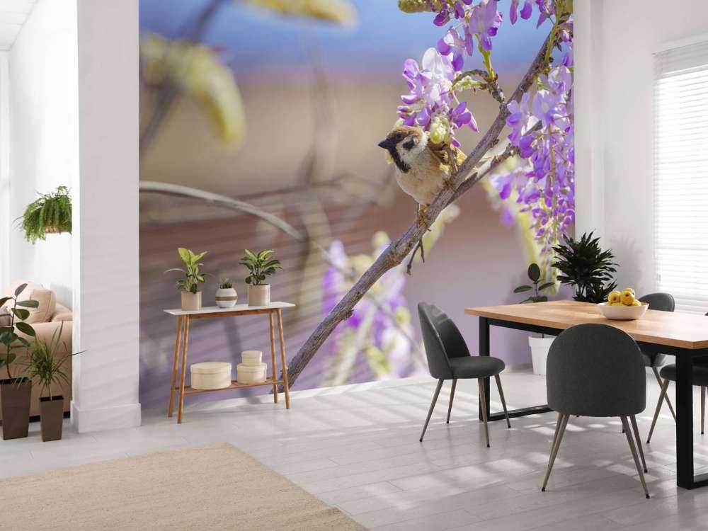 Moineau et fleurs violettes