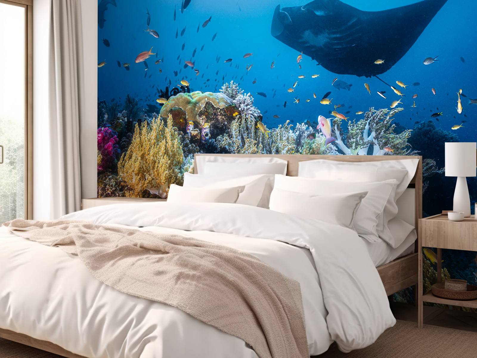 Manta reef on the reef