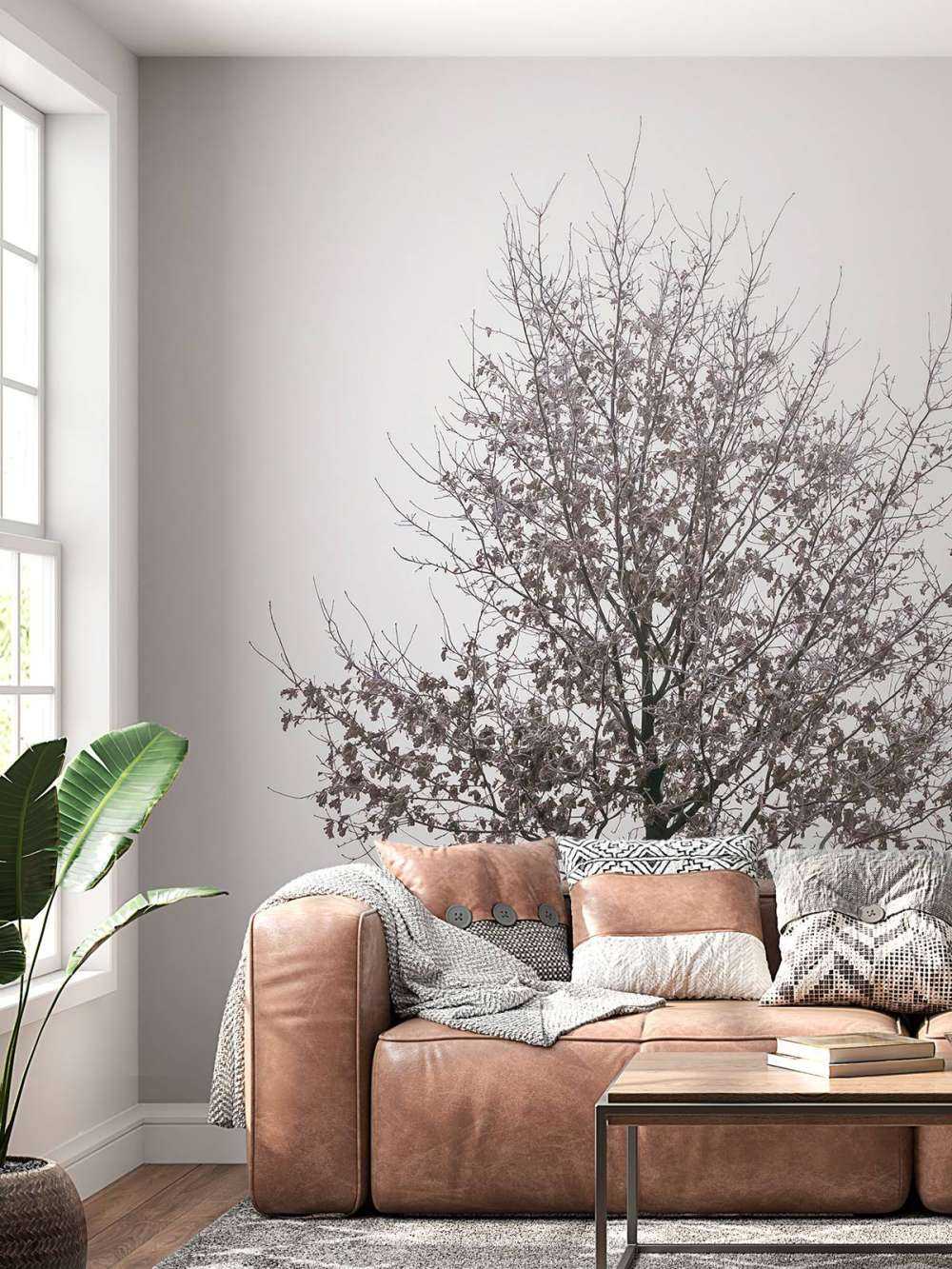A lonely oak