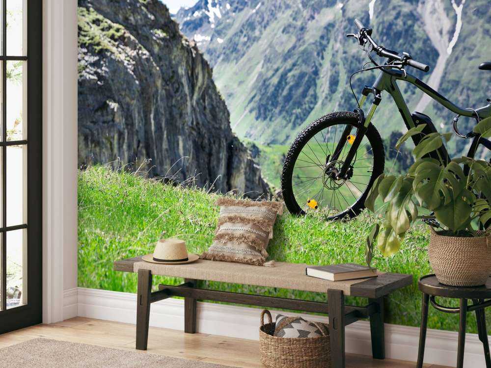 Vélo électrique en Autriche